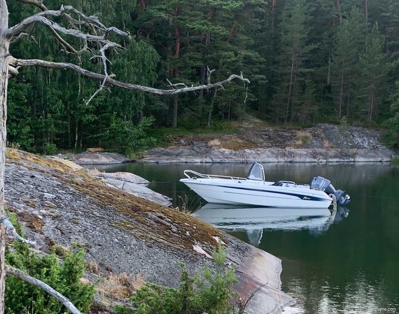 Yamarin Cc Varattu Moottorivene Salo Nettivene