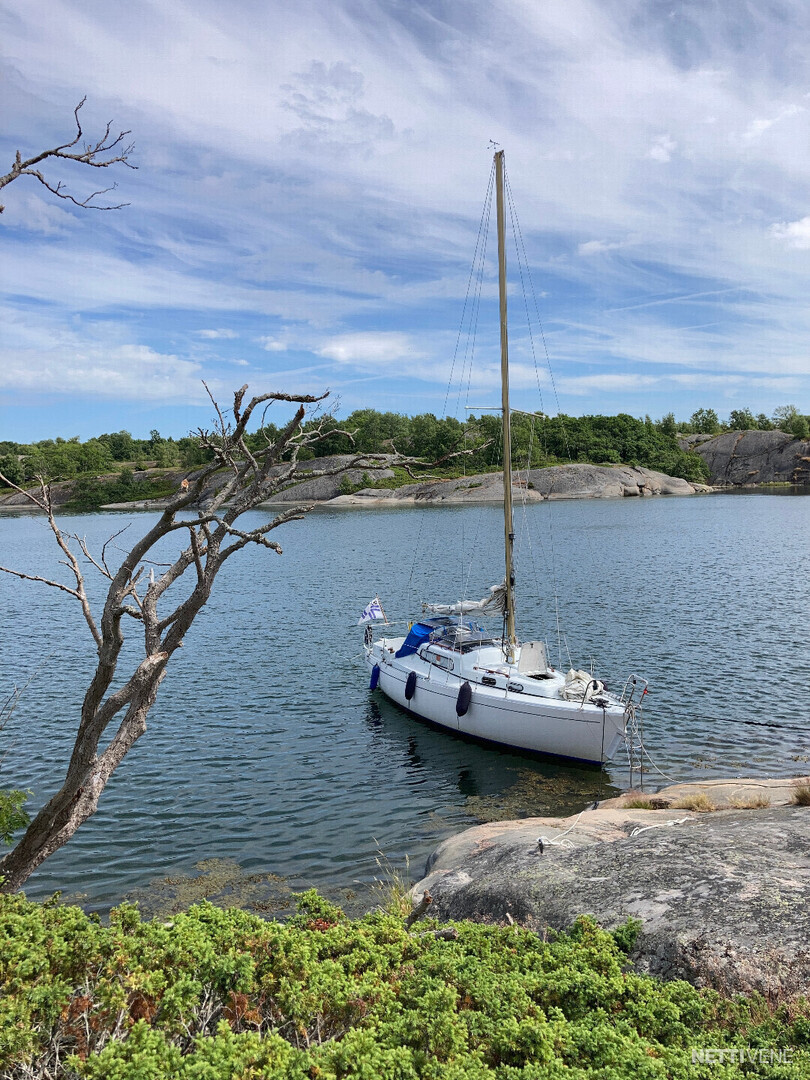 Albin Vega Sailing Boat Helsinki Nettivene