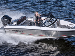 Falcon BR 7