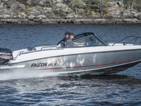 Falcon BR 6