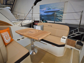 Sea Ray 265 Sundancer