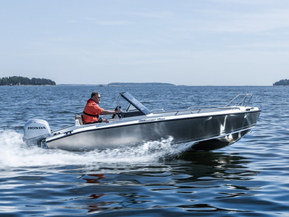 Silver Fox Avant 485