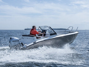 Silver Fox Avant 485