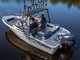 Suvi 50 Duo Fisher Mercury