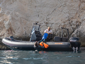 Zodiac Open 5.5 Gulfstream