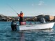 Sting 535 Pro
