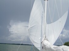 Albin Delta