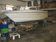Bayliner