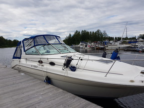 Sea Ray 290 Sundancer