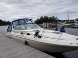 Sea Ray 290 Sundancer