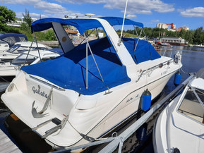 Sea Ray 290 Sundancer