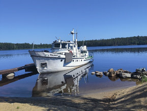 Teräsvene 