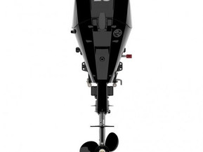 Mercury F20 ELPT EFI