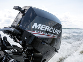 Mercury F20 ELPT EFI