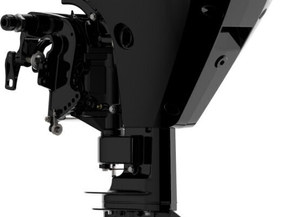 Mercury F20 ELPT EFI