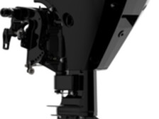 Mercury F20 ELPT EFI