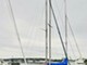 Helmsman