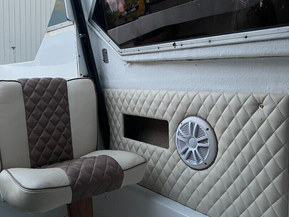 Delphin 565 cabin