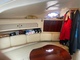 Sea Ray 290 Sundancer 290 315