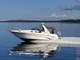 Sea Ray 290 Sundancer 290 315