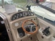Sea Ray 290 Sundancer 290 315