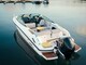 Flipper 800 DC