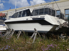 Finnsport 8500 Cruiser