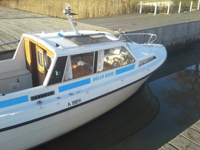 Bella 8000