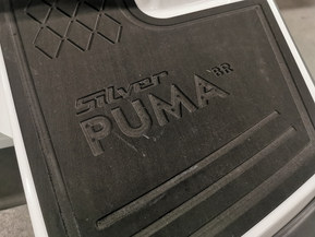 Silver Puma