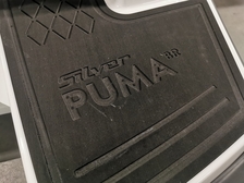 Silver Puma
