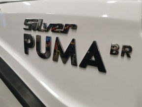 Silver Puma
