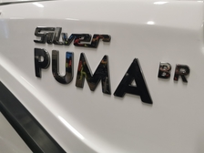 Silver Puma