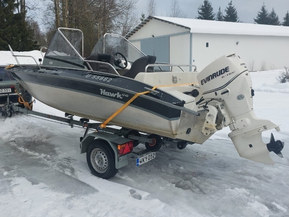 Silver Hawk 540 BR