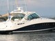 Sea Ray 515 Sundancer