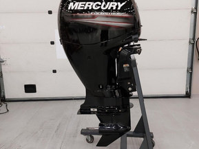 Mercury 