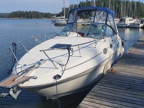 Sea Ray 275 Sundancer