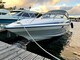 Sunseeker