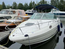 Sea Ray 240 Sundancer