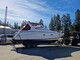 Chris-Craft