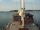 SeaFinn 39
