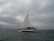 SeaFinn 39