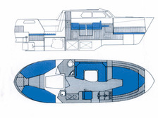 Albatross Flying 871