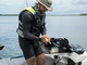 Sea-Doo FishPro trophy