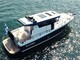 Sargo 33