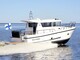 Sargo 33