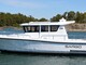 Sargo 28