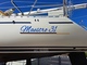 Maestro 31