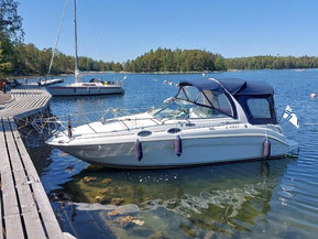 Sea Ray 275 Sundancer