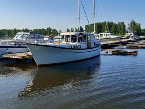 Albatross 321