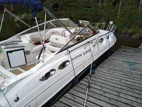 Glastron GS 289 Sport Cruiser